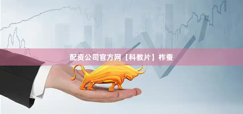 配资公司官方网【科教片】柞蚕